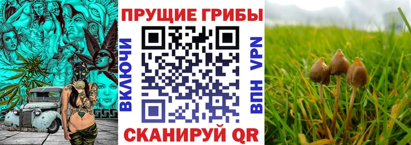 Галлюциногенные грибы GOLDEN TEACHER Абдулино